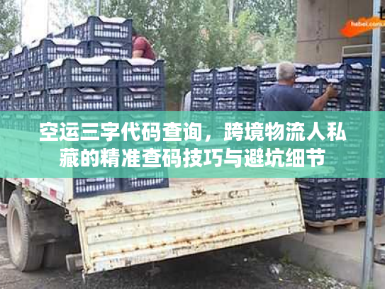 空运三字代码查询,跨境物流人私藏的精准查码技巧与避坑细节 空运三字代码查询,跨境物流人私藏的精准查码技巧与避坑细节