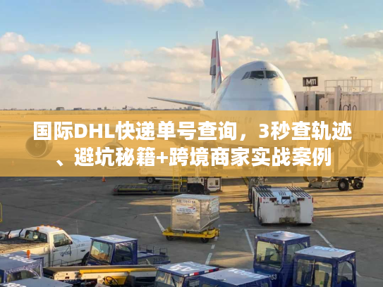 国际DHL快递单号查询，3秒查轨迹、避坑秘籍+跨境商家实战案例