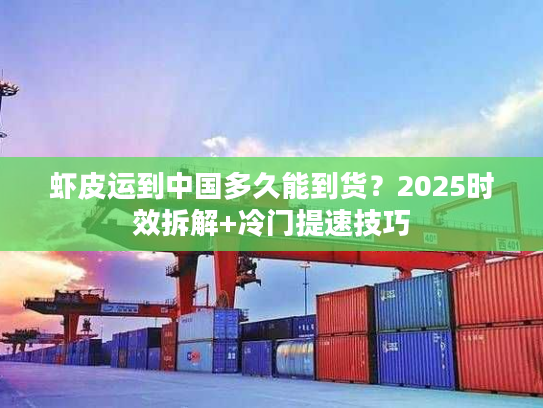 虾皮运到中国多久能到货？2025时效拆解+冷门提速技巧