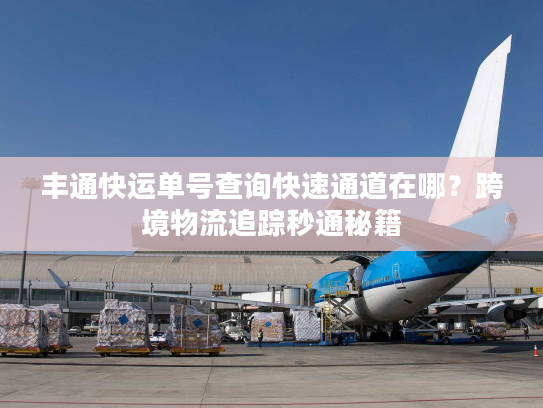 丰通快运单号查询快速通道在哪？跨境物流追踪秒通秘籍