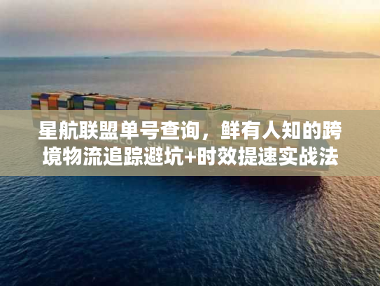 星航联盟单号查询，鲜有人知的跨境物流追踪避坑+时效提速实战法