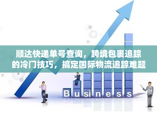 顺达快递单号查询，跨境包裹追踪的冷门技巧，搞定国际物流追踪难题