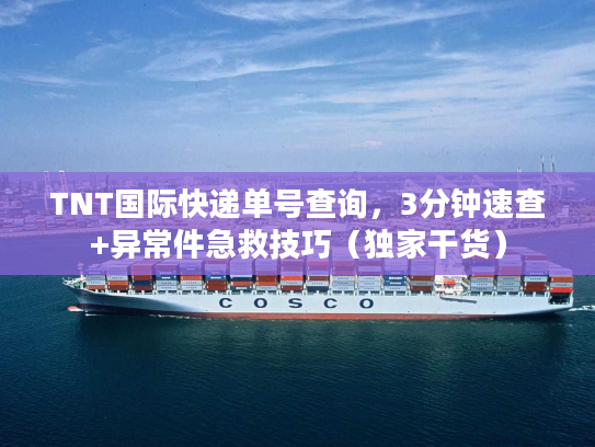 TNT国际快递单号查询，3分钟速查+异常件急救技巧（独家干货）