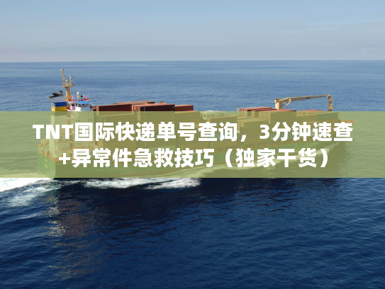 TNT国际快递单号查询，3分钟速查+异常件急救技巧（独家干货）