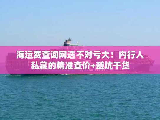 海运费查询网选不对亏大！内行人私藏的精准查价+避坑干货