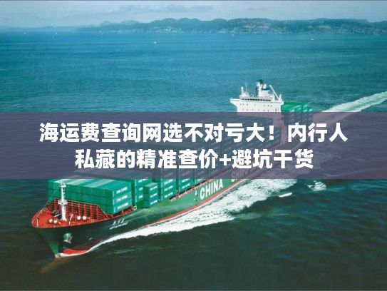海运费查询网选不对亏大！内行人私藏的精准查价+避坑干货