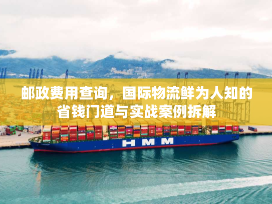 邮政费用查询，国际物流鲜为人知的省钱门道与实战案例拆解