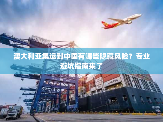 澳大利亚集运到中国有哪些隐藏风险?专业避坑指南来了 澳大利亚集运到中国有哪些隐藏风险?专业避坑指南来了