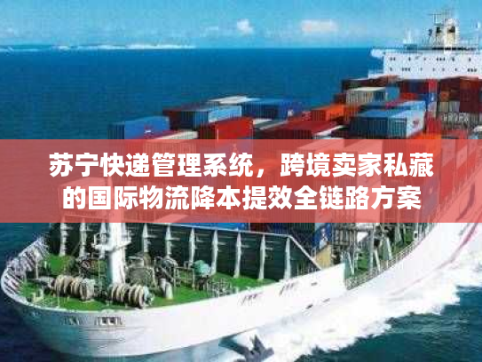 苏宁快递管理系统，跨境卖家私藏的国际物流降本提效全链路方案