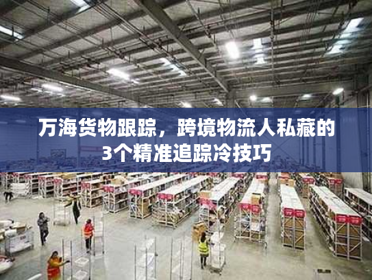 万海货物跟踪，跨境物流人私藏的3个精准追踪冷技巧