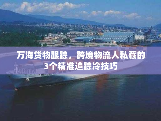 万海货物跟踪，跨境物流人私藏的3个精准追踪冷技巧