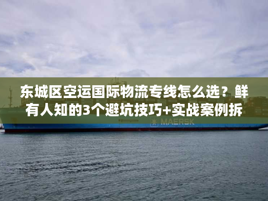 东城区空运国际物流专线怎么选？鲜有人知的3个避坑技巧+实战案例拆解