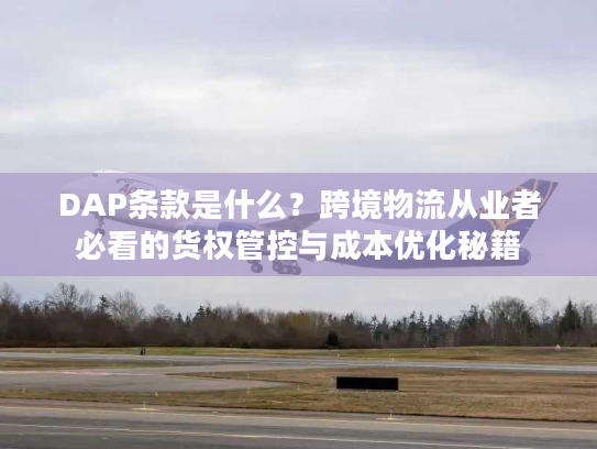 DAP条款是什么？跨境物流从业者必看的货权管控与成本优化秘籍