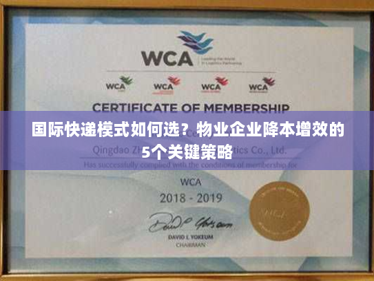 国际快递模式如何选?物业企业降本增效的5个关键策略 国际快递模式如何选?物业企业降本增效的5个关键策略