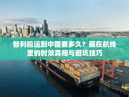 智利船运到中国要多久？藏在航线里的时效真相与避坑技巧