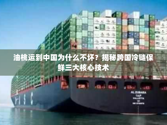 油桃运到中国为什么不坏？揭秘跨国冷链保鲜三大核心技术