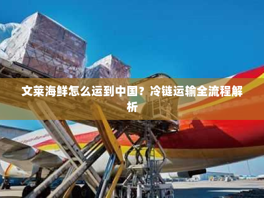 文莱海鲜怎么运到中国?冷链运输全流程解析 文莱海鲜怎么运到中国?冷链运输全流程解析