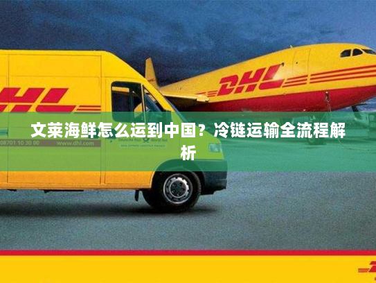 文莱海鲜怎么运到中国?冷链运输全流程解析 文莱海鲜怎么运到中国?冷链运输全流程解析