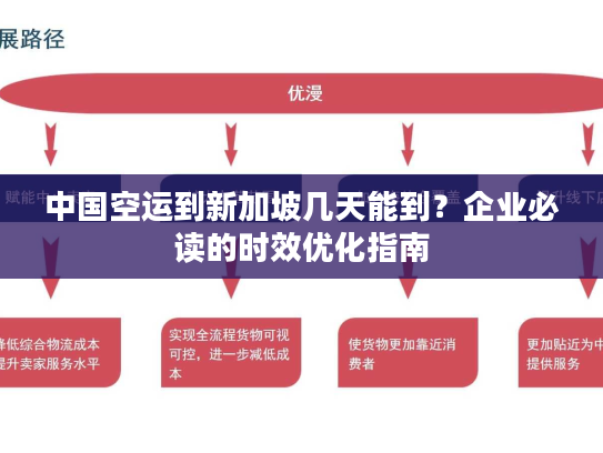 中国空运到新加坡几天能到？企业必读的时效优化指南