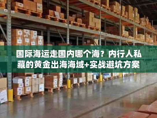 国际海运走国内哪个海？内行人私藏的黄金出海海域+实战避坑方案