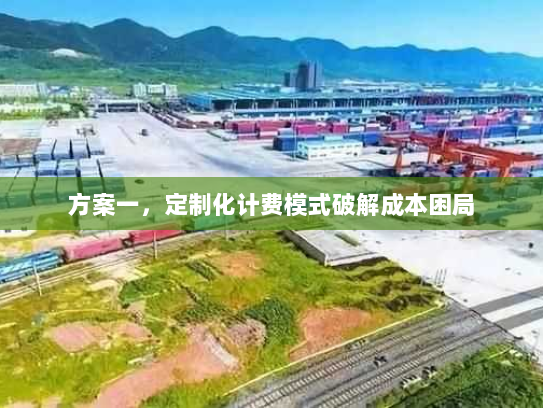 方案一，定制化计费模式破解成本困局