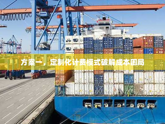 方案一，定制化计费模式破解成本困局