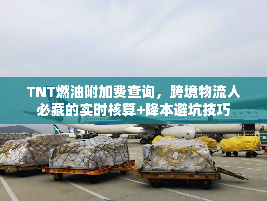 TNT燃油附加费查询，跨境物流人必藏的实时核算+降本避坑技巧