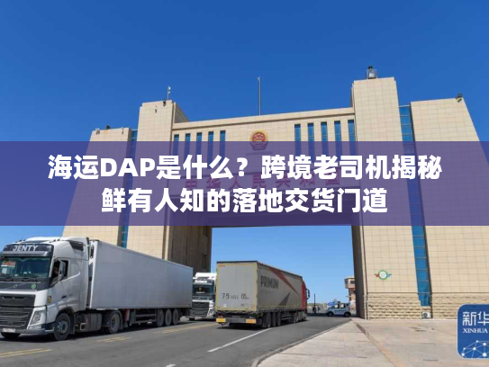 海运DAP是什么？跨境老司机揭秘鲜有人知的落地交货门道