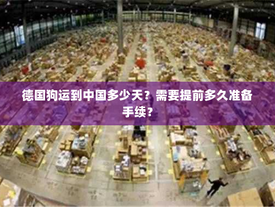德国狗运到中国多少天？需要提前多久准备手续？