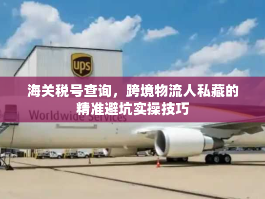 海关税号查询，跨境物流人私藏的精准避坑实操技巧