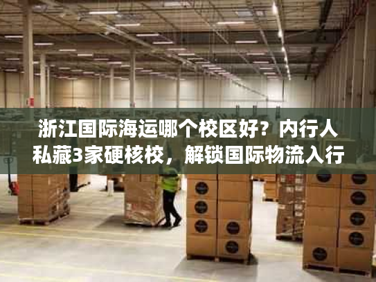 浙江国际海运哪个校区好？内行人私藏3家硬核校，解锁国际物流入行密码