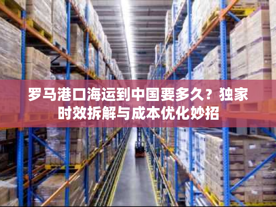 罗马港口海运到中国要多久？独家时效拆解与成本优化妙招