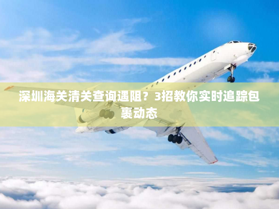 深圳海关清关查询遇阻？3招教你实时追踪包裹动态