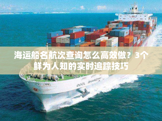 海运船名航次查询怎么高效做？3个鲜为人知的实时追踪技巧