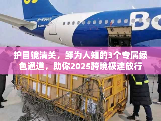 护目镜清关，鲜为人知的3个专属绿色通道，助你2025跨境极速放行
