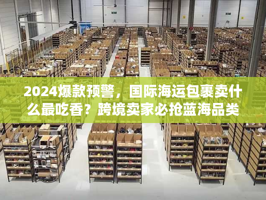 2024爆款预警，国际海运包裹卖什么最吃香？跨境卖家必抢蓝海品类清单