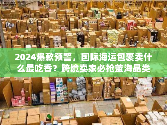 2024爆款预警，国际海运包裹卖什么最吃香？跨境卖家必抢蓝海品类清单