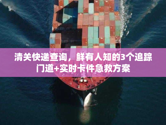 清关快递查询,鲜有人知的3个追踪门道+实时卡件急救方案 清关快递查询,鲜有人知的3个追踪门道+实时卡件急救方案