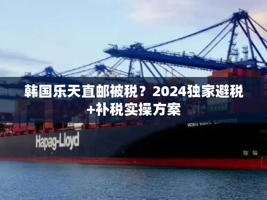 韩国乐天直邮被税？2024独家避税+补税实操方案