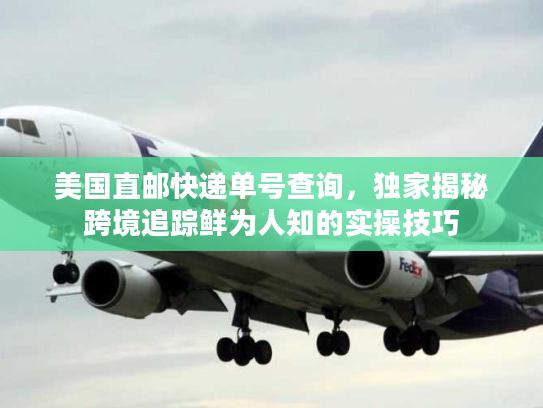 美国直邮快递单号查询，独家揭秘跨境追踪鲜为人知的实操技巧