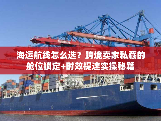 海运航线怎么选？跨境卖家私藏的舱位锁定+时效提速实操秘籍