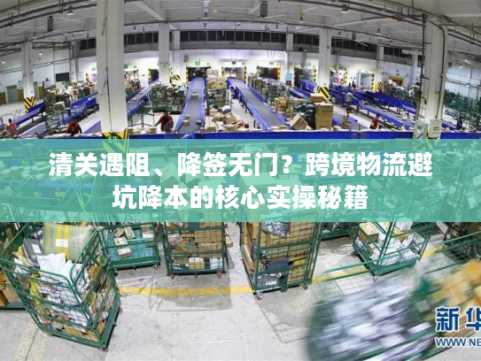 清关遇阻、降签无门？跨境物流避坑降本的核心实操秘籍