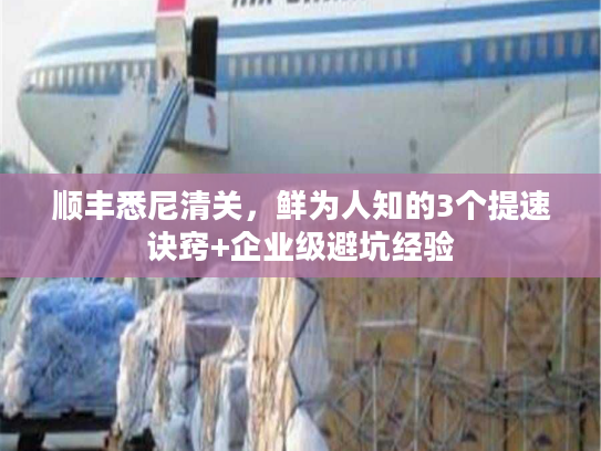 顺丰悉尼清关，鲜为人知的3个提速诀窍+企业级避坑经验