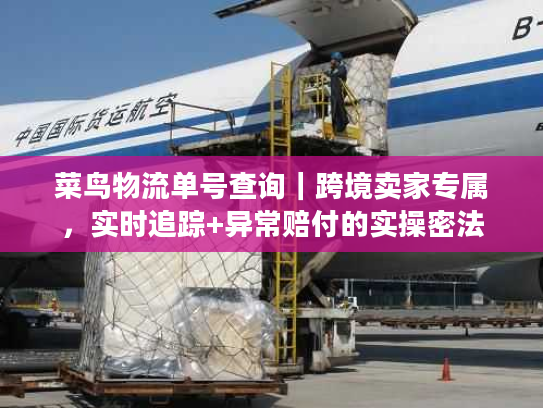 菜鸟物流单号查询｜跨境卖家专属，实时追踪+异常赔付的实操密法
