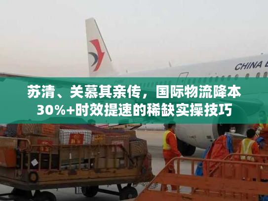 苏清、关慕其亲传,国际物流降本30%+时效提速的稀缺实操技巧 苏清、关慕其亲传,国际物流降本30%+时效提速的稀缺实操技巧