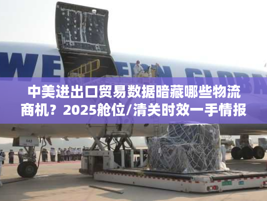 中美进出口贸易数据暗藏哪些物流商机？2025舱位/清关时效一手情报