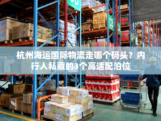 杭州海运国际物流走哪个码头？内行人私藏的3个高适配泊位