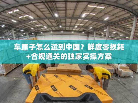 车厘子怎么运到中国？鲜度零损耗+合规通关的独家实操方案