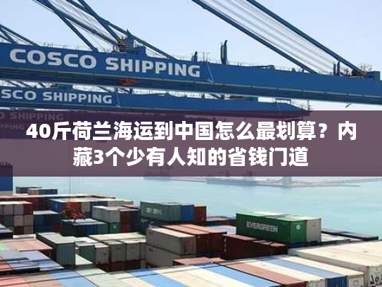 40斤荷兰海运到中国怎么最划算？内藏3个少有人知的省钱门道