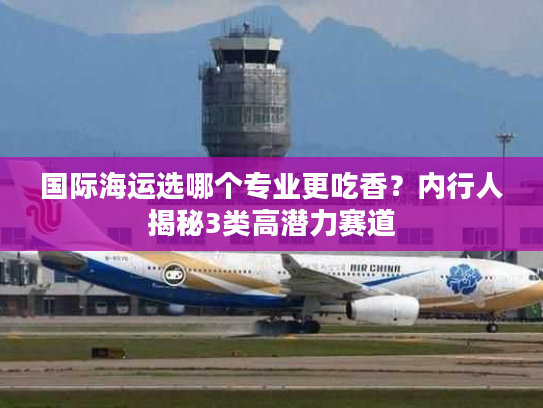 国际海运选哪个专业更吃香？内行人揭秘3类高潜力赛道